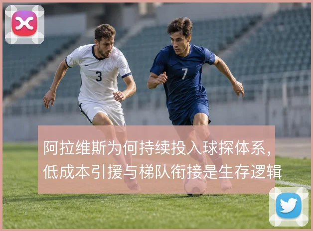 阿拉维斯为何持续投入球探体系，低成本引援与梯队衔接是生存逻辑