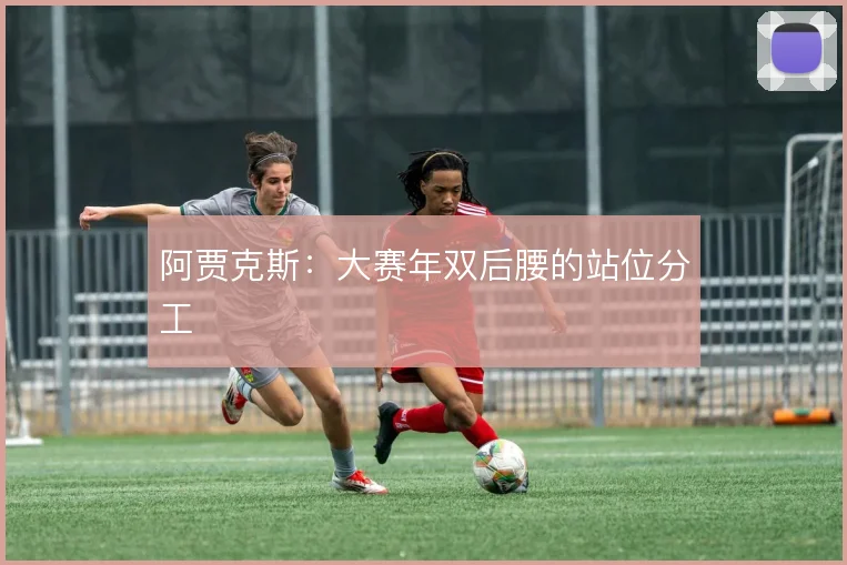 阿贾克斯：大赛年双后腰的站位分工