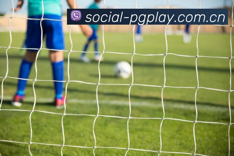 平台使命图